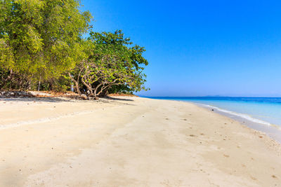 Scenic view of beach against clear blue sky