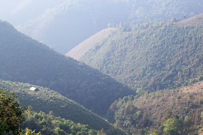 High angle view of trees and mountains