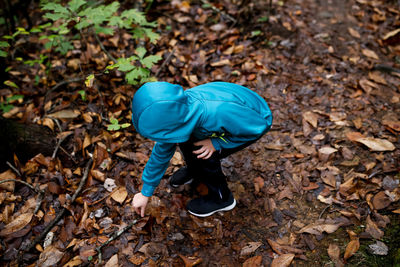 High angle view of boy wearing blue jacket playing in forest during autumn