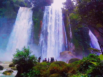 Low angle view of waterfall in forest