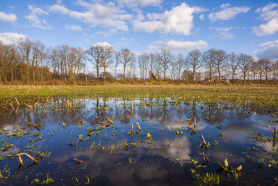 Reflection of trees in lake against sky