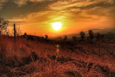 Scenic view of field against orange sky