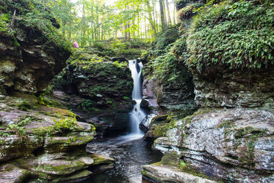 View of waterfall in forest