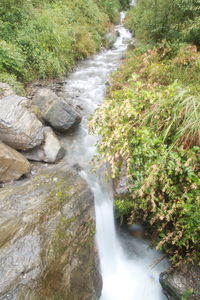 Scenic view of waterfall