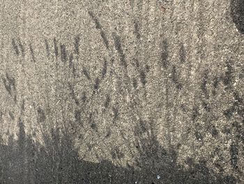 Full frame shot of wall