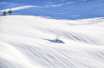 Scenic view of snow covered land