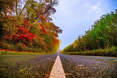 Road amidst trees against sky