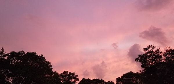 Low angle view of silhouette trees against dramatic sky