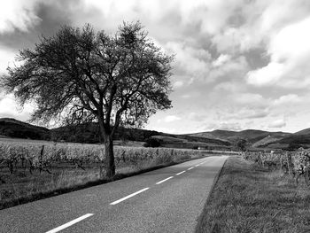 Road amidst trees against sky