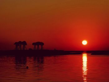 Scenic view of sea against orange sky