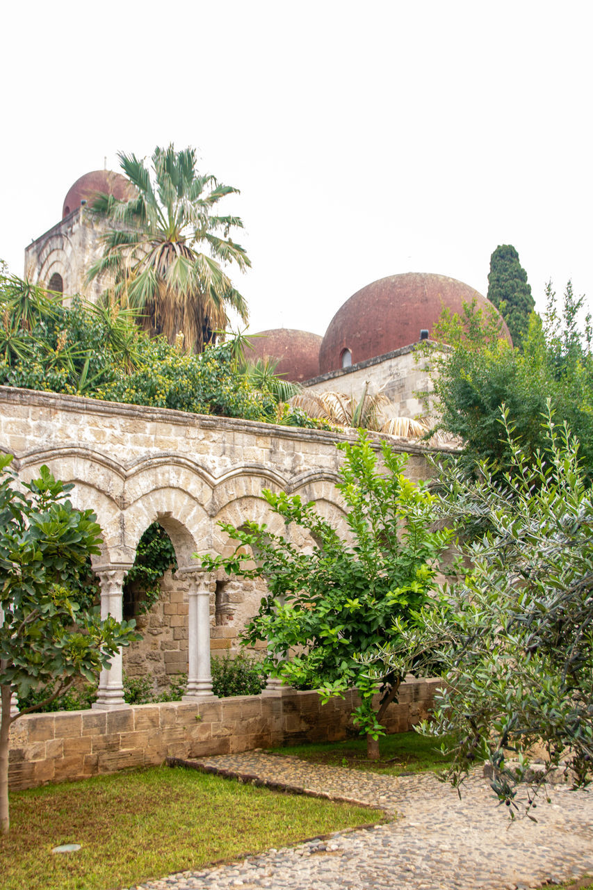 architecture, plant, tree, built structure, nature, garden, building exterior, history, no people, travel destinations, the past, estate, sky, building, palm tree, arch, outdoors, travel, day, tropical climate, clear sky, ruins, tourism, growth