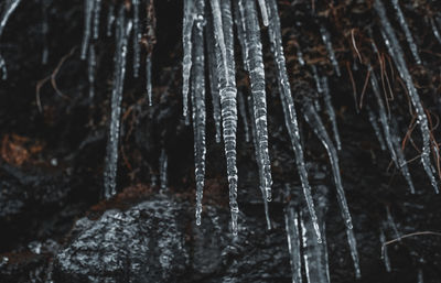 Close-up of icicles on land during winter