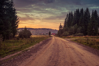 Empty road amidst trees against sky