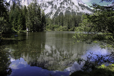 Scenic view of lake in forest during winter