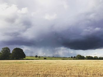 Scenic view of agricultural field against sky