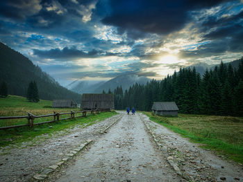 Footpath amidst trees against sky