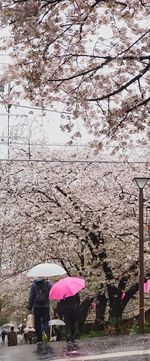 Man with umbrella against trees