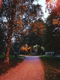 Road amidst trees in park during autumn