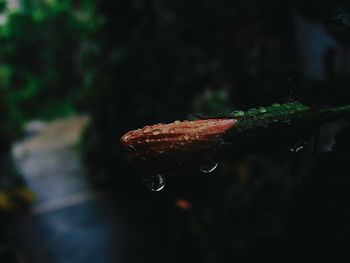 Close-up of water