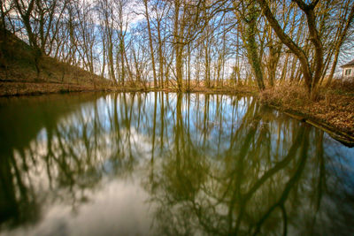 Scenic view of lake in forest
