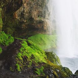 Scenic view of waterfall