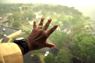 Close-up of hand against trees