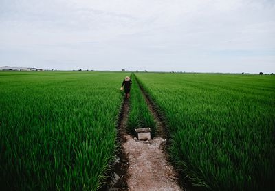 Farmer working in farm against sky