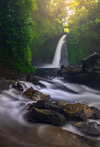 Scenic view of waterfall in forest