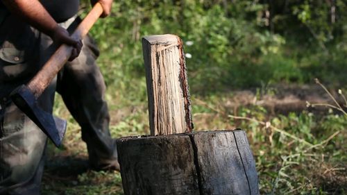 Low section of man on wooden log