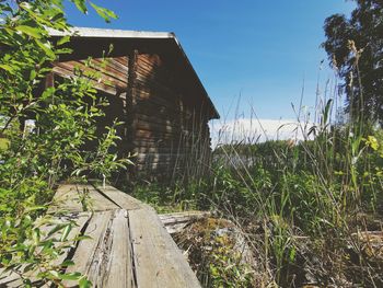 Abandoned wooden house amidst plants on field against sky