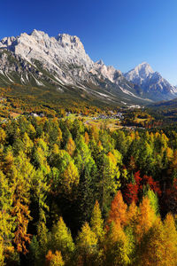 Scenic view of forest and mountains against clear sky