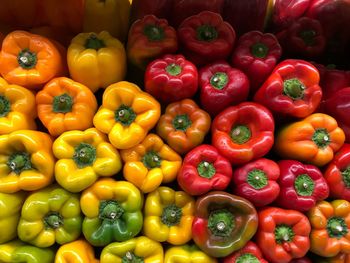 Peppers for sale at market stall