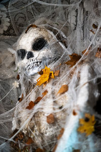 Close-up of fishing net