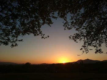 Silhouette tree on field against sky at sunset