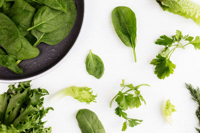 Flat lay with bowl of fresh green salad leaves of spinach and lettuce, romaine and parsley, basil