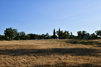 Scenic view of field against clear sky