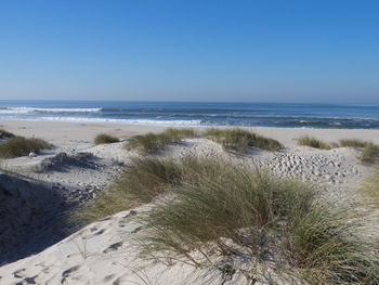 Scenic view of beach against clear blue sky