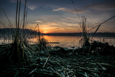 Scenic view of sea during sunset