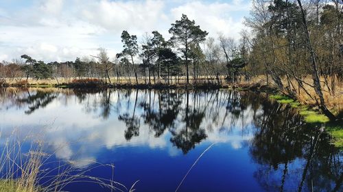 Reflection of trees in lake against sky