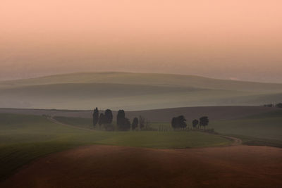 Tuscan hills at dawn with trees
