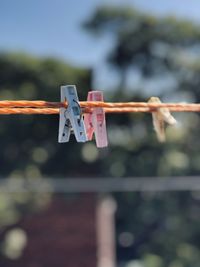 Close-up of clothespins hanging on rope