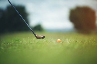 Close-up of ball on field