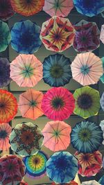 Full frame shot of multi colored leaves