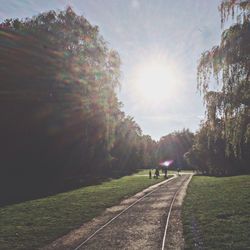 Sun shining through trees