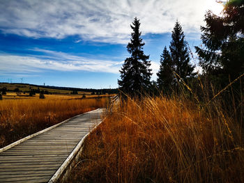 Footpath amidst trees on field against sky