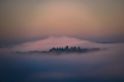 Scenic view of trees against sky during sunset