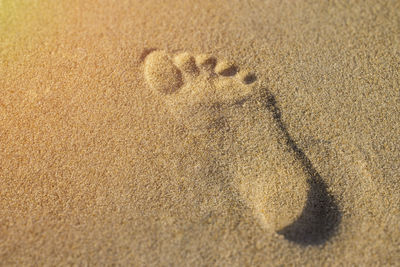 High angle view of footprints on sand