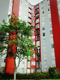 Low angle view of building