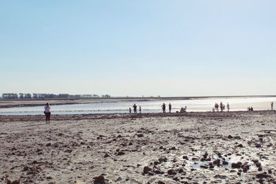 People on beach against clear sky