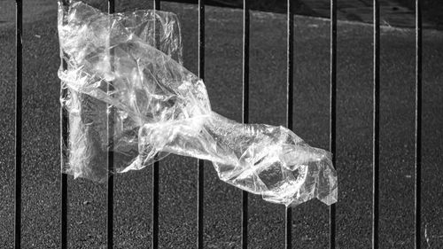 Close-up of leaf hanging on metal fence